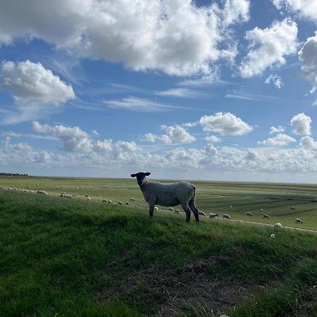 Frieda - Ferienwohnung Mit Deichblick ฟรีดริคส์คูก ภายนอก รูปภาพ